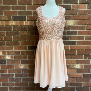 A. Drea Sequin and Chiffon Dress‎